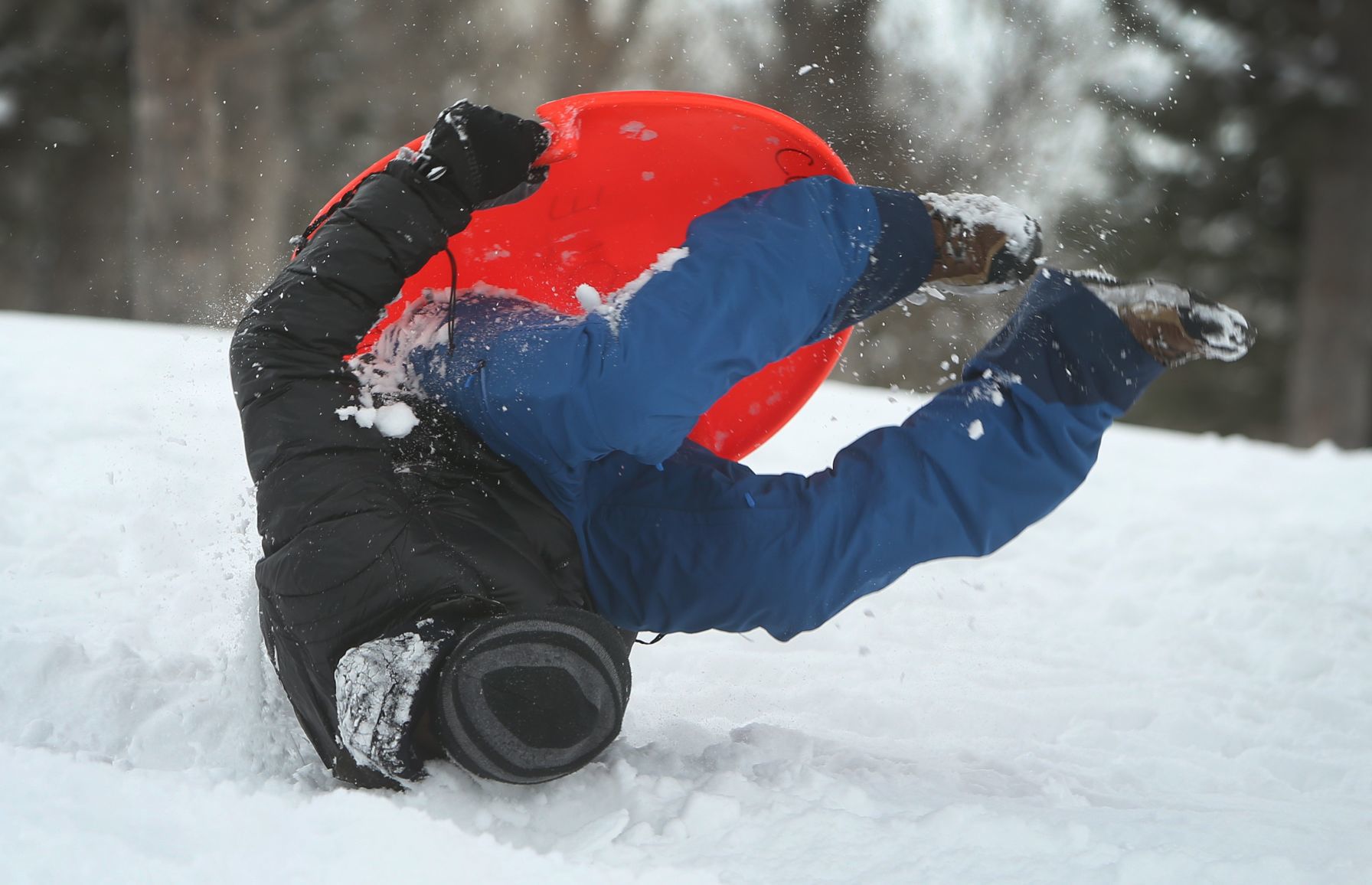 Sledding Fun